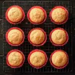 Apple Cider Cupcakes with Spiced Buttercream Frosting (gluten-free, whole grain) - featured image